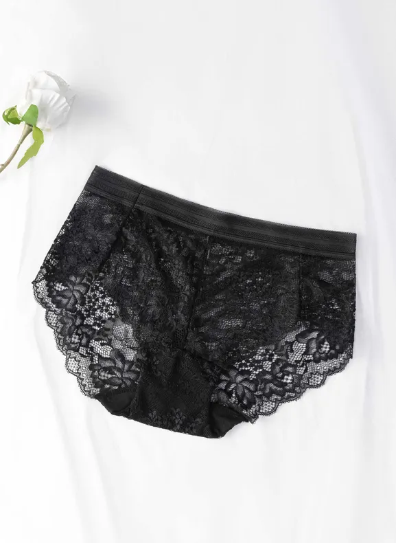 Anna Lacy Midi Full Lace Panty A24-081297