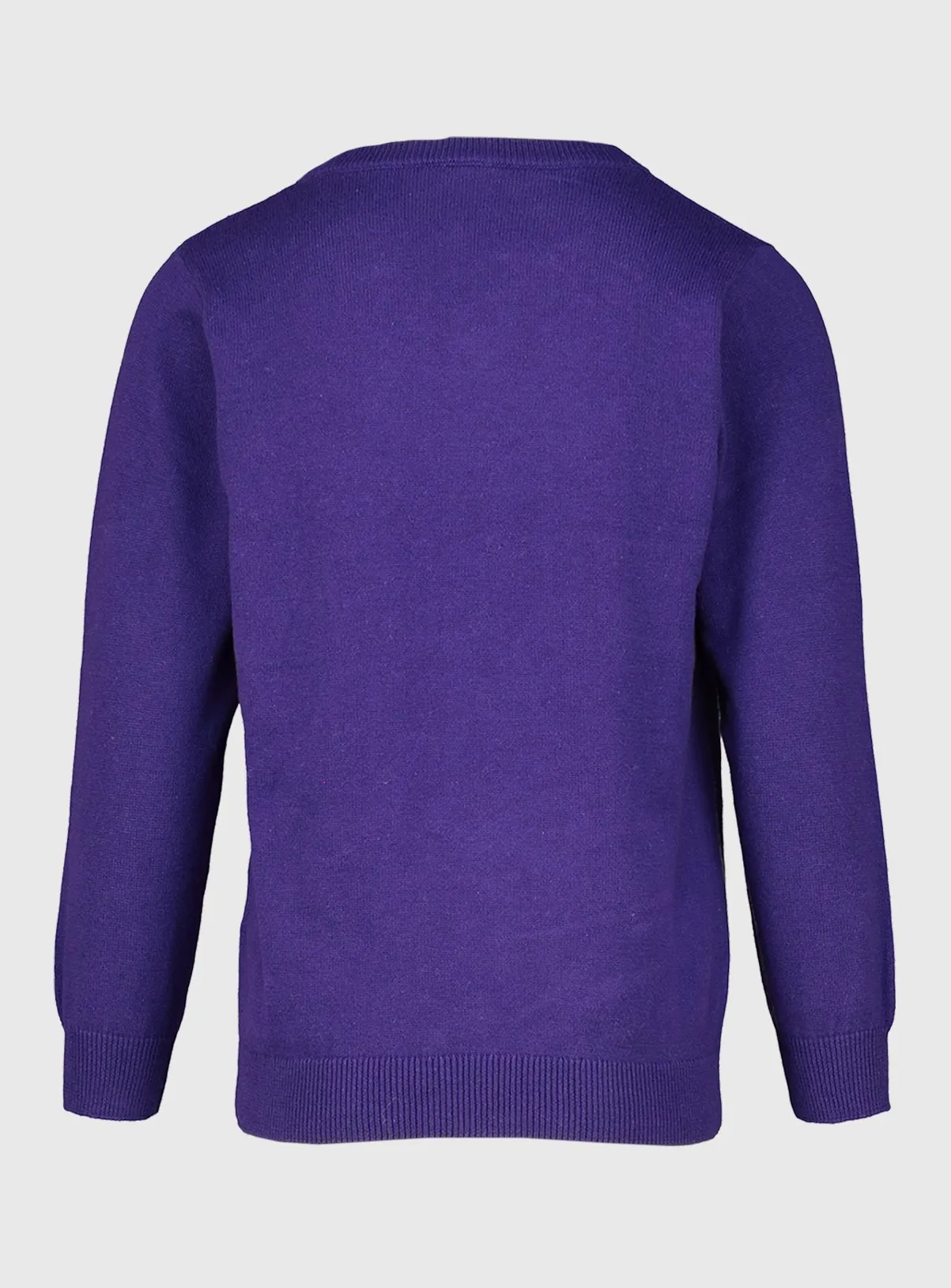 Buy Purple V-Neck Jumpers 2 Pack - 9 years | Jumpers and cardigans | Tu