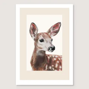 Doe Print