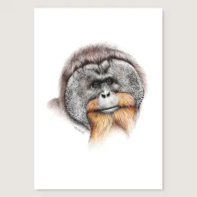 Orangutan Print