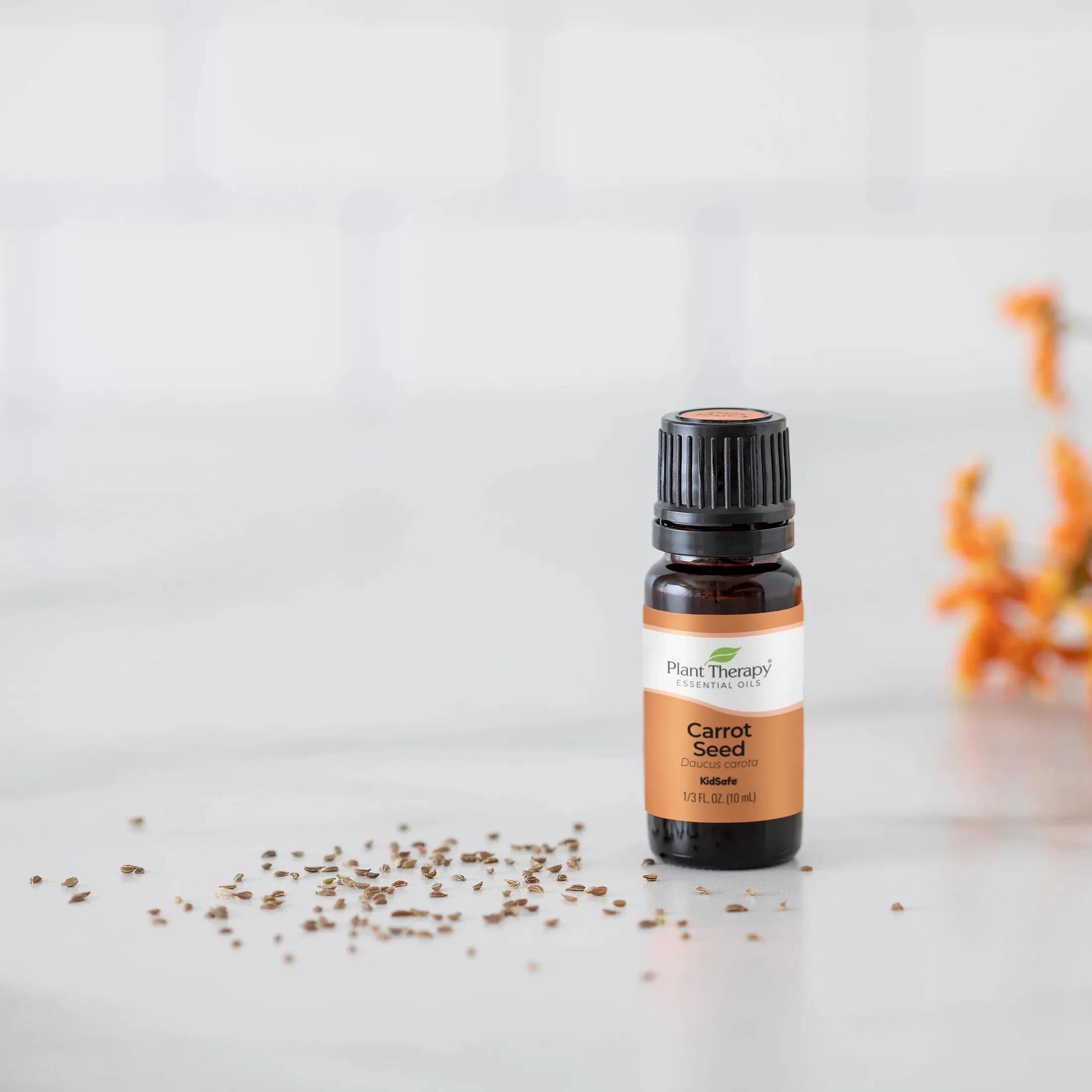 Plant Therapy Carrot Seed Essential Oil