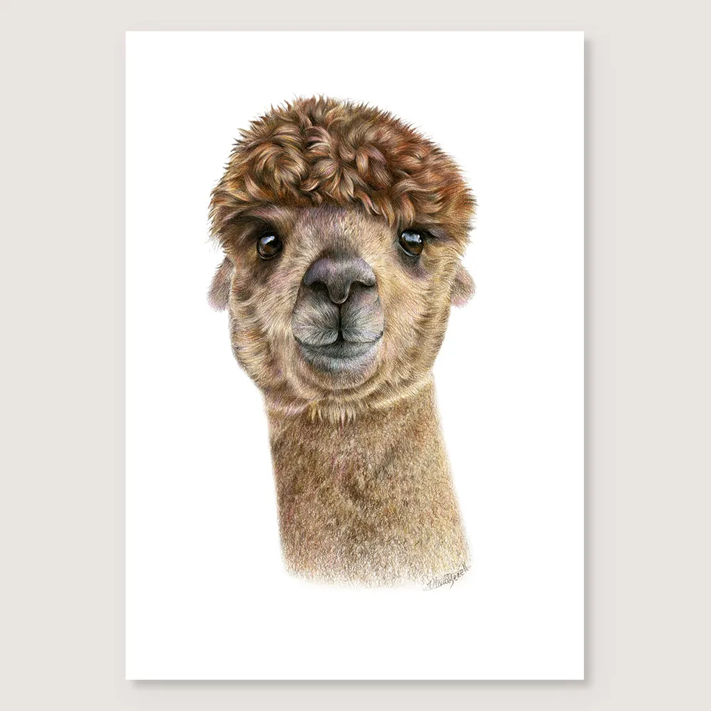 SALE - Alpaca print A5