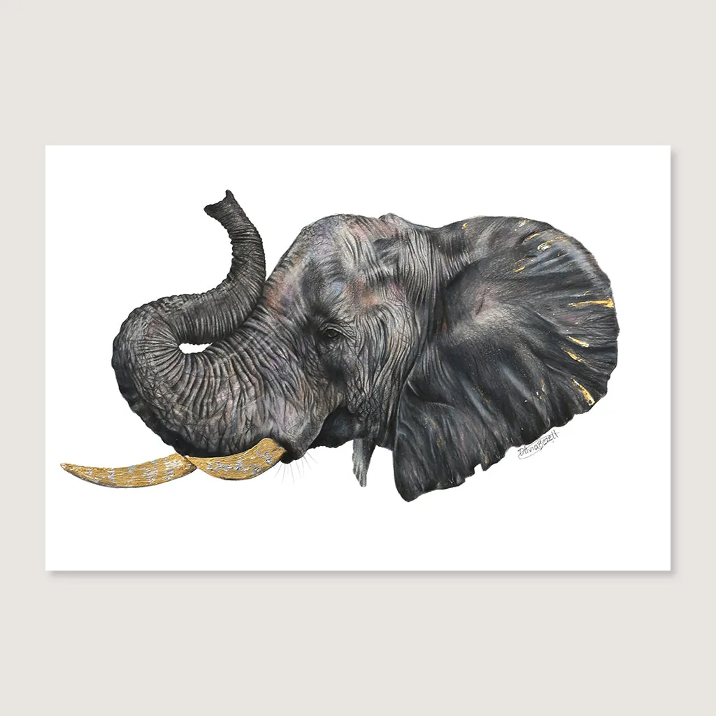 SALE - Elephant print A5