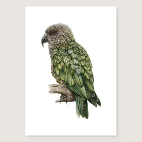 SALE - Kea print A5