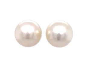 White Pearl Earrings